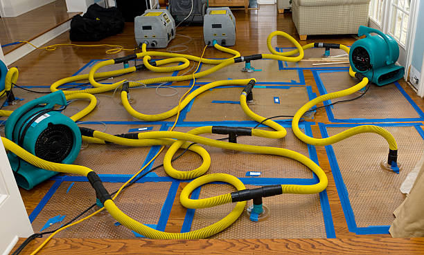 Professional Sewage Cleanup technician working in Jefferson, MD